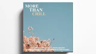 More Than Chill | sample pack | hip hop loops 2022