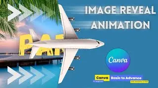 Image Reveal Effect Animation | Canva for Beginners | The Digital Tutors