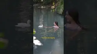 A calming swim with little ducks in a blue rainforest pool 💛 the magic of nature