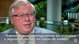 El minuto de Mayo Clinic: ¿Es peligroso consumir cannabidiol?