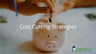 Cost Cutting Strategies