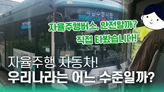 테슬라의 핸들없는 택시 등장! 자율주행 로보택시 경쟁, 한국은 어디까지 왔을까? ㅣ 직접 경험한 우리나라 자율주행 버스 탑승🤩