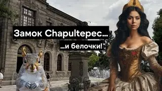 Замок Чапультепек в Мехико переоценен? И откуда там взялись белки? Chapultepec Mexico Парк