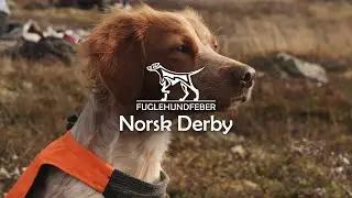 Norsk Derby 2023 - Fuglehundfeber Ep 11
