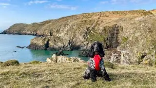 Beautiful views on the North Wales Coast Path