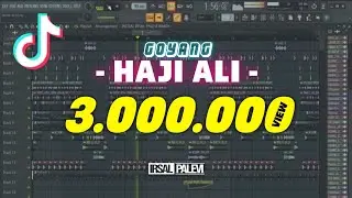 LAGU GOYANG HAJI ALI REMIX | dj viral tiktok | irsal palevi