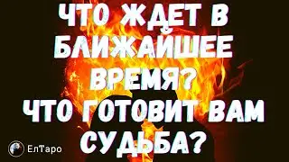 ГАДАНИЕ ОНЛАЙН. ТАРО ДЛЯ МУЖЧИН. ЧТО ЖДЕТ В БЛИЖАЙШЕЕ ВРЕМЯ? ЧТО ГОТОВИТ ВАМ СУДЬБА?