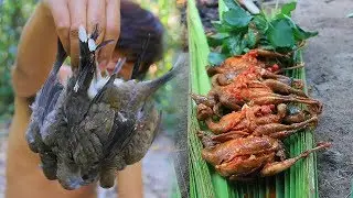 Finding and Cooking Wild Bird (Dove) Recipe Eating Delicious