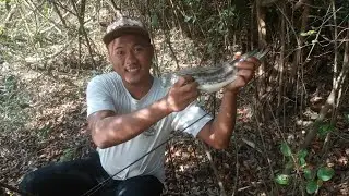 pemancing toman besar...!!! cesting gabus/haruan SNAKEHEAD