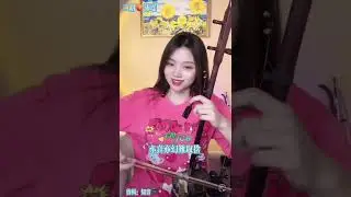 好聽 Desire 渴望 LIVE Erhu Peiyao 二胡🍑沛瑶 Chinese Love Song 毛阿敏 Mao Amin 唐音樂隊 國樂 เอ้อหู Violin 中国民乐