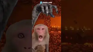 КУДА ОН ПОПАЛ?!?!? 😈🥺 #майнкрафт #лайфхаки #monkey #демон #tiktok #браток #зеркало #крик