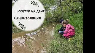 Карантинный vlog/ Румтур по даче /Малыш-кролик