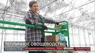 Теплицы: Комсомольск полностью обеспечат своими овощами? Новости. 26/01/2024. GuberniaTV