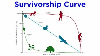 Population Ecology (Life Tables, Age Structure, Population Growth)