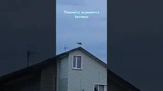 #брестскийаист