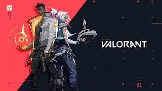 VALORANT | OVERWATCH | ETC