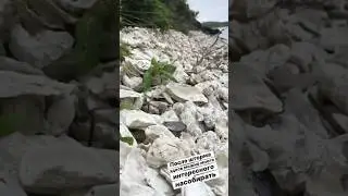 А сколько в ресторане стоит устрица у вас ? У нас на дальнем востоке бесплатно можно кушать )