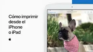 Cómo imprimir desde el iPhone o iPad - Soporte técnico de Apple