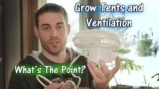 What Grow Tents Are For and How to Ventilate (For Beginners)