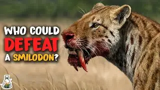 6 Animals That Could Have Killed a Smilodon