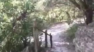 Maple Trail Hyperlapse - Lost Maples State Park, Texas  - TPWD