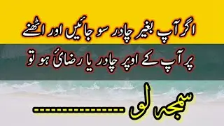 Urdu quotes|| behtareeen batain || Urdu quotes about mother || Urdu Hindi quotes about love #quotes