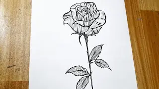 How to draw a rose easy step by step || Flower drawing tutorial