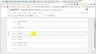 Using Jupyter Notebook