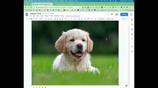 Fun with Google Docs - Pageless format