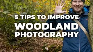 5 Tips to Improve Your Woodland Photography