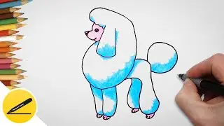 Drawing of a dog - How to draw a dog (Poodle) step by step | Learning to draw pets