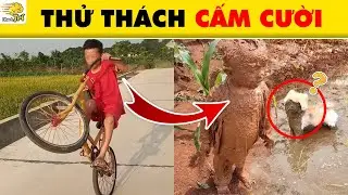 😂 19 +1 TÌNH HUỐNG HÀI HƯỚC BÁ ĐẠO VÀ LẦY LỘI NHẤT KHIẾN BẠN KHÔNG THỂ NHỊN CƯỜI | Nhanh Trí