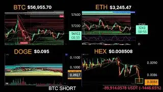 Big buy on HEX after Tametheark Greenblocks