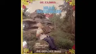 Иван Плешивцев. Пластинка