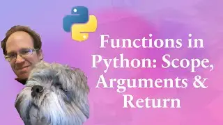 Functions in Python: Scope, Arguments & Return