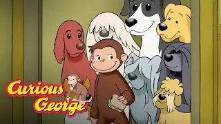 George's Dog Pals 🐵 Curious George 🐵Kids Cartoon 🐵 Kids Movies 🐵Videos for Kids