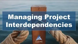 Managing Project Portfolio Interdependencies