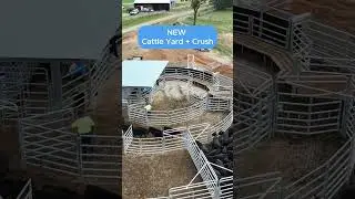 360° Cattle Yard!