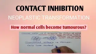 Contact Inhibition.Neoplastic transformatio. How normal cells become tumoureous?