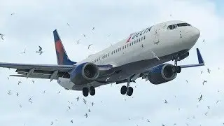 X-Plane 11 - Delta 737 Bird Strike Emergency Landing