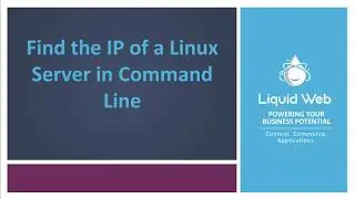 Find the IP of a Linux Server in Command Line