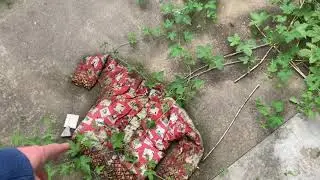 A deserted village in China