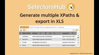 How to generate multiple XPaths & export them in XLS using SelectorsHub?