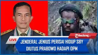 🔴Jenderal Jenius Perisai Hidup SBY Diutus Prabowo Hadapi OPM, Kogoya cs Tak Bisa Tidur Nyenyak