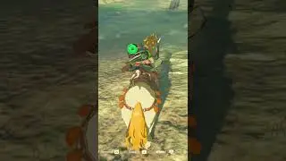 THE REALISM OF THE NEW ZELDA IS REMARKABLE 🐎 