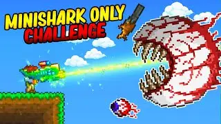 Terraria, But I Can Only Use MINISHARKS...