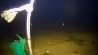 Рыбалка на белом море с подводной камерой,навага позирует в кадре!)