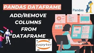 12. Add/Remove Columns From Pandas Dataframe | Pandas drop column