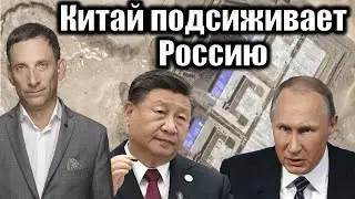 Китай подсиживает Россию | Виталий Портников