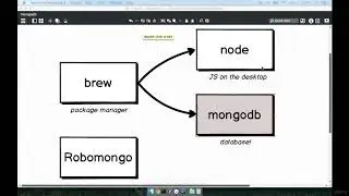 MongoDB Setup on OSX - MongoDB Tutorial